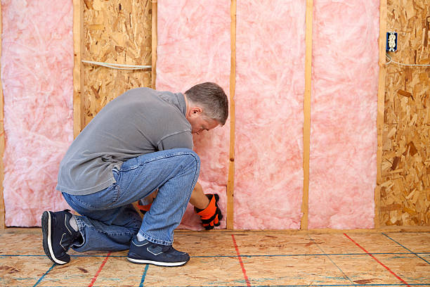 Best DIY Insulation Kits and Guidance in Holley, FL