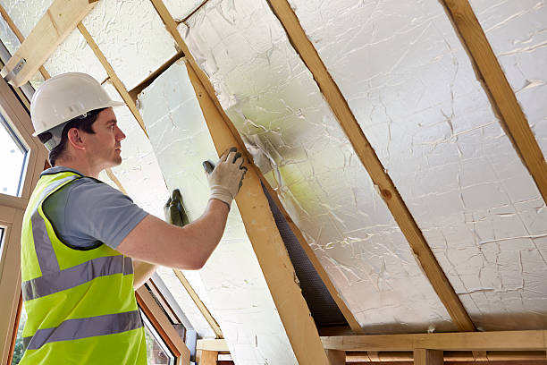 Types of Insulation We Offer in Holley, FL