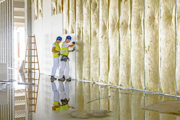 Best Fiberglass Insulation in Holley, FL